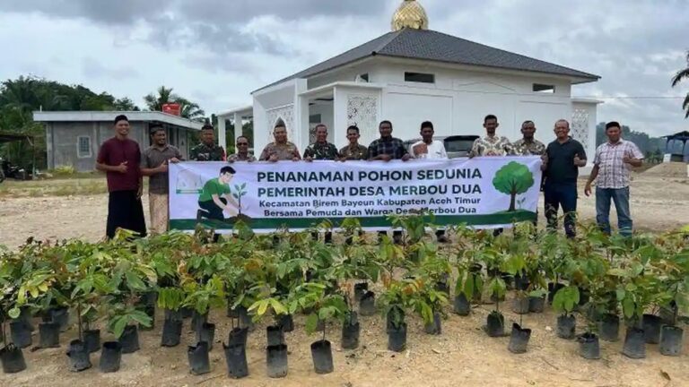POHON MATOA