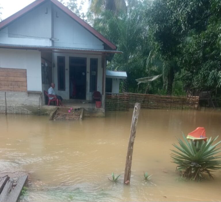 banjir woyla