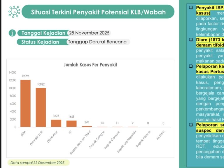 penyakit pasca banjir
